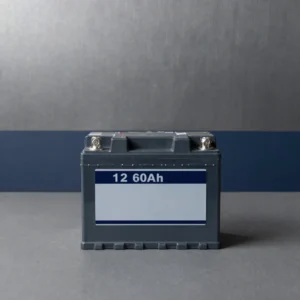 Batería 12V 60Ah